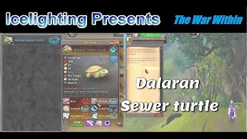 Dalaran Sewer Turtle - Treasures of Isle of Dorn - Battle Pet reward - The War Within