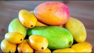 mango helps you lose weight within a week