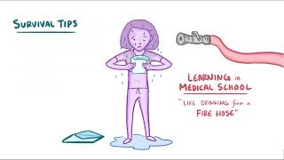 Surviving Your First Year of Medical School: A Student Doctor Network & Osmosis Quick Video
