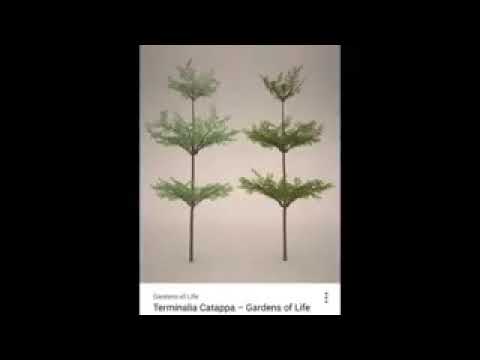 Mti Wa Uzazi Wa Mpango Na Matatizo Yake Katika Familia