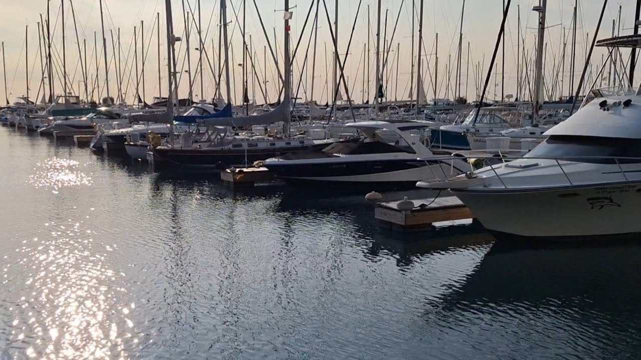 Большая Прогулка по Чикаго - и дома и Набережная и ЯХТЫ НА ОЗЕРЕ МИЧИГАН,  и бегуна и Собаки- детсад