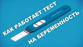 Как работает тест на беременность