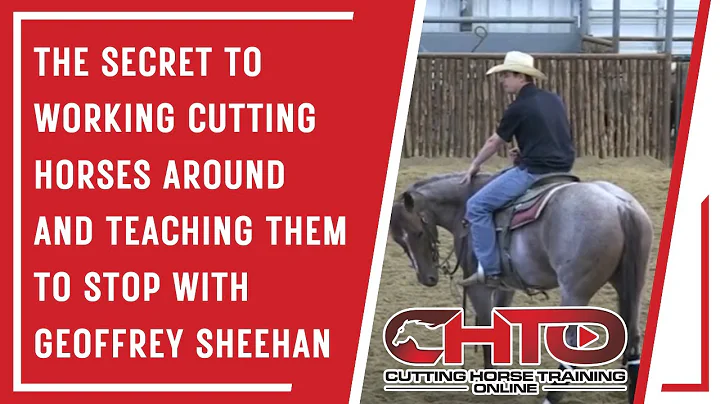 The Secret To Working Cutting Horses Around And Te...