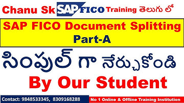 SAP FICO Training Videos In Telugu- Document Splitting,SAP FICO Course In Telugu,SAP FICO Live Class
