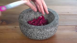 Kid Experiments: Coloured Ink from Flowers | English | Darwin and Newts