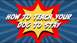 Tips for teaching stays with your dog at the CENTER OF THE UNIVERSE in Tulsa, Oklahoma