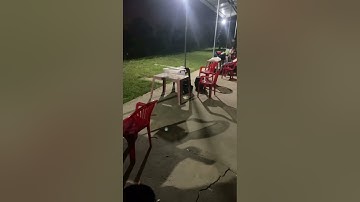 Vlogs 13 Báo cá - Hồ Vườn Dừa ấp Ngã Tư, xã Nhuận Đức, huyện Củ Chi, TP HCM || Mần Nông Vlogs