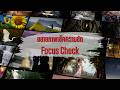 81 Focus Check