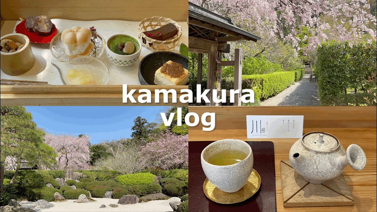 ［ vlog ］春に行きたい鎌倉/自然を感じるカフェとランチ🍃/ゆったり楽しむ穴場桜スポット/今年最後の春を味わう🌸
