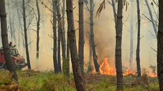 Incendie dans les Landes : Près de 1.600 hectares parcourus, le feu toujours pas fixé