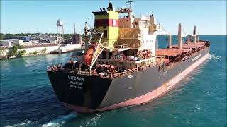 VITOSHA / NAVIBULGAR - Upbound Port Huron, Michigan 6-23-2022