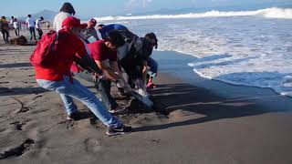 International Coastal Cleanup 2017