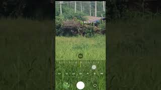 zoom test | indian farms  | #trending #viral #shortsfeed #zoomtest #mobile #zoom #s20ultra