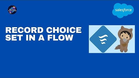 24.Record Choice set in a flow