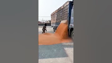 The unloading process of corn kernels