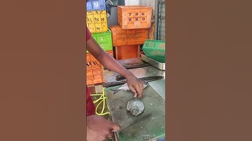 Amazing Fish Cutting – A perfect blend of skill and precision! 🐟✨ Watch how this expert