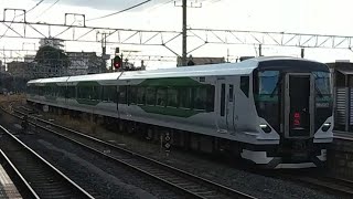 E257系5500番台OM-52編成 特急成田山初詣とちぎ号宇都宮行き成田駅入線