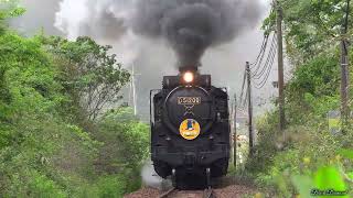SLやまぐち号 D51200号機  2025.5.18 Japanese Steam Locomotive D51 【蒸気機関車】