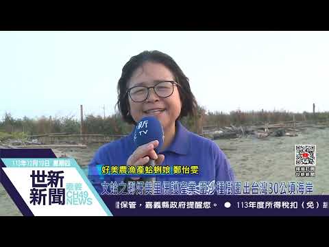 世新新聞 文蛤之鄉好美里保護產業 圍沙種樹圍出台灣30公頃海岸