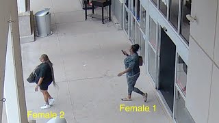 Celebrity Huntsville Police searching for pair of shoplifters Wealth