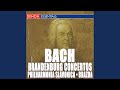 Miniature de la vidéo de la chanson Brandenburg Concerto No. 6 In B-Flat Major, Bwv 1051: I. Allegro