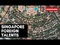 Why singapore recruits foreign talents