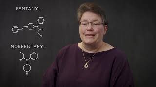 Full Webisode 14 - Interpreting Drug Screens Update