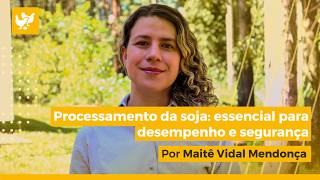 Processamento da soja: essencial para desempenho e segurança