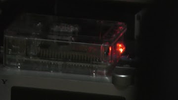 Raspberry Pi 3 B+, Volumio 2, TOPPING D10, TPA3116 mini AMP, YAMAHA NS-BP200