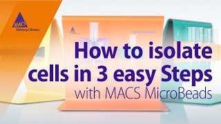 How to Isolate Cells in 3 Easy Steps using MACS MicroBeads