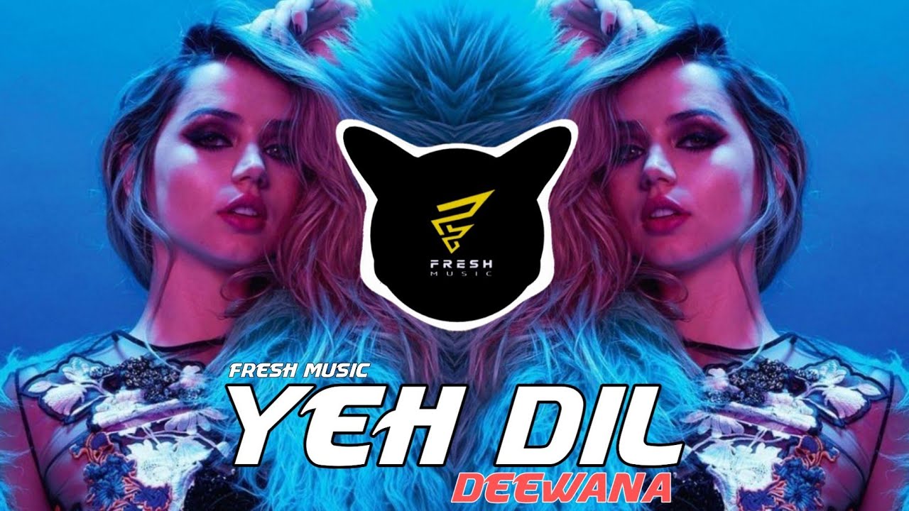 Yeh Dil Deewana Remix   DJ Aqeel