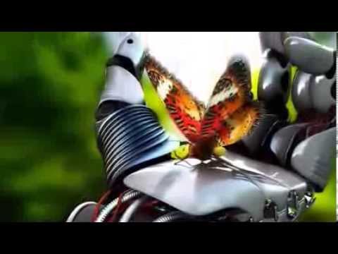 When A Child Is Born Video