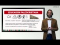 Historia de la Educación - La educación paleocristiana