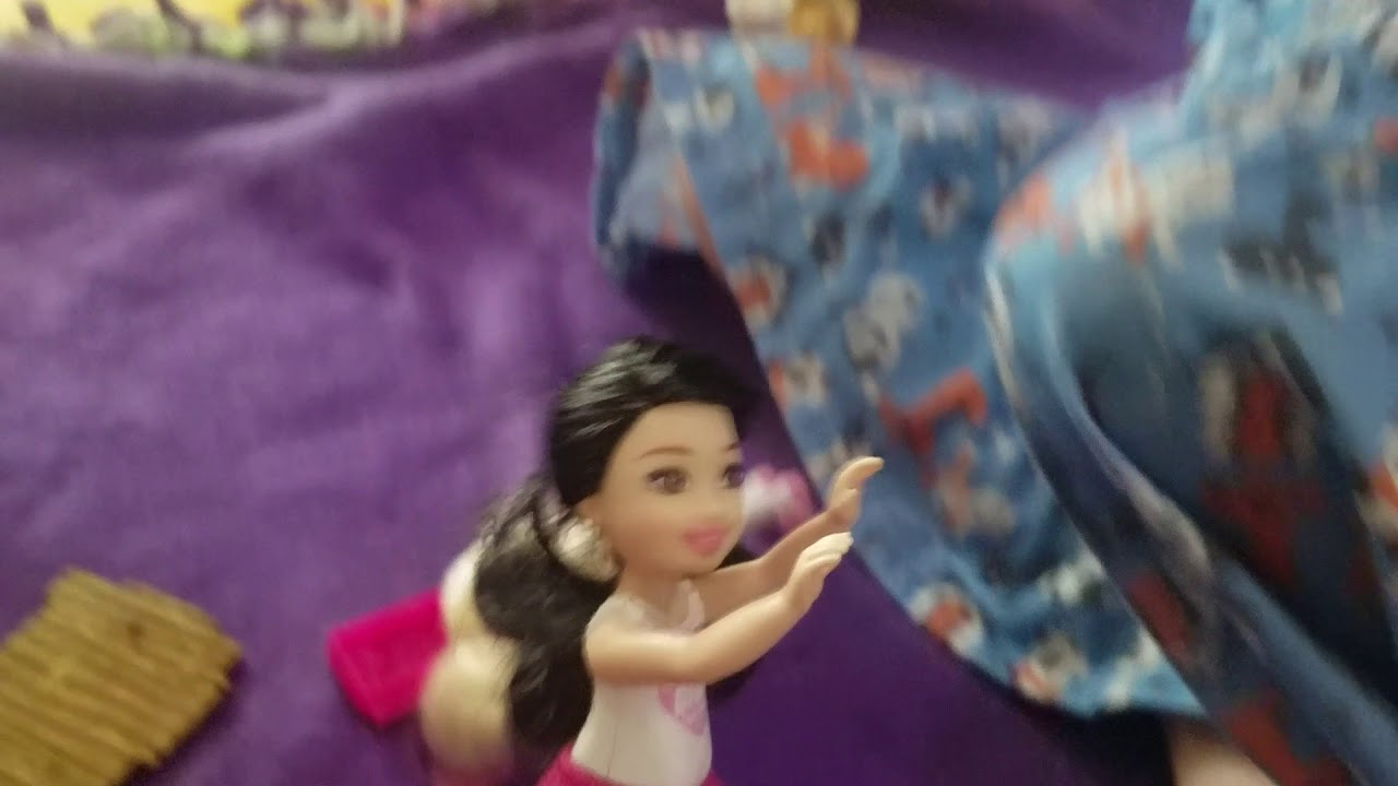 Barbie: Chelsea & Heart Skye Play Time with Hope & Mommy