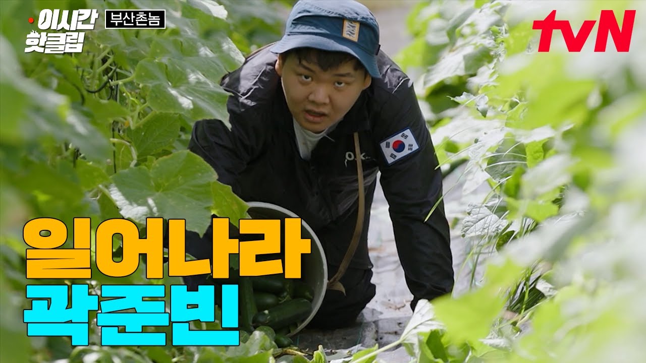 오늘도 비료로운 평화 마스터(?) 곽준빈😅 왜 이런 일은 준빈이한테만... | 부산촌놈in시드니