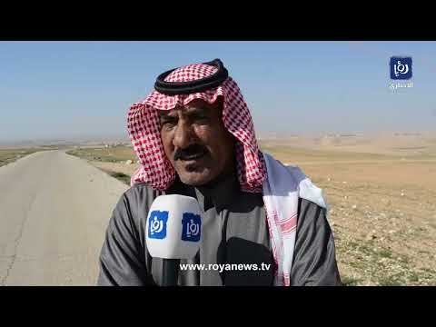 أكرمه الله أردني يتبرع بقطعة أرض لإيواء الكلاب الضالة في عمان