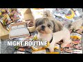 My dogs night routine  luto serye togue for dogs  princess pagaduan