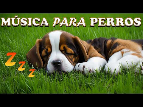 Música para dejar