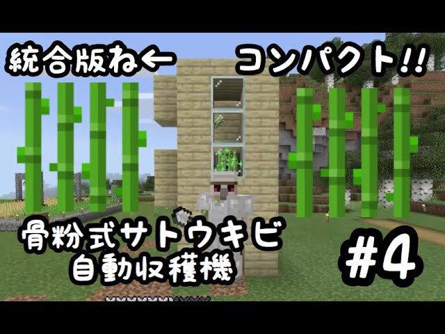 マイクラ 骨粉式サトウキビ自動収穫機 統合版ならこれ マインクラフト Youtube