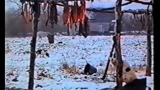 Мы Племя Пойтыльо Мы Племя Пойтыльо