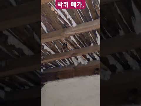 <strong>박쥐</strong> 폐가,