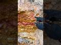 The process of finding gold | finding gold in bedrock fragments | finding gold nuggets worth $2500