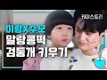 구미호뎐 김범X정시율 아가 케미 모음 | #케미스토리 #디글