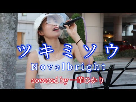 やっぱりこの曲は痺れるほどハンパなかった ツキミソウ/ Novelbright covered by《一華ひかり》 @ichikahikari