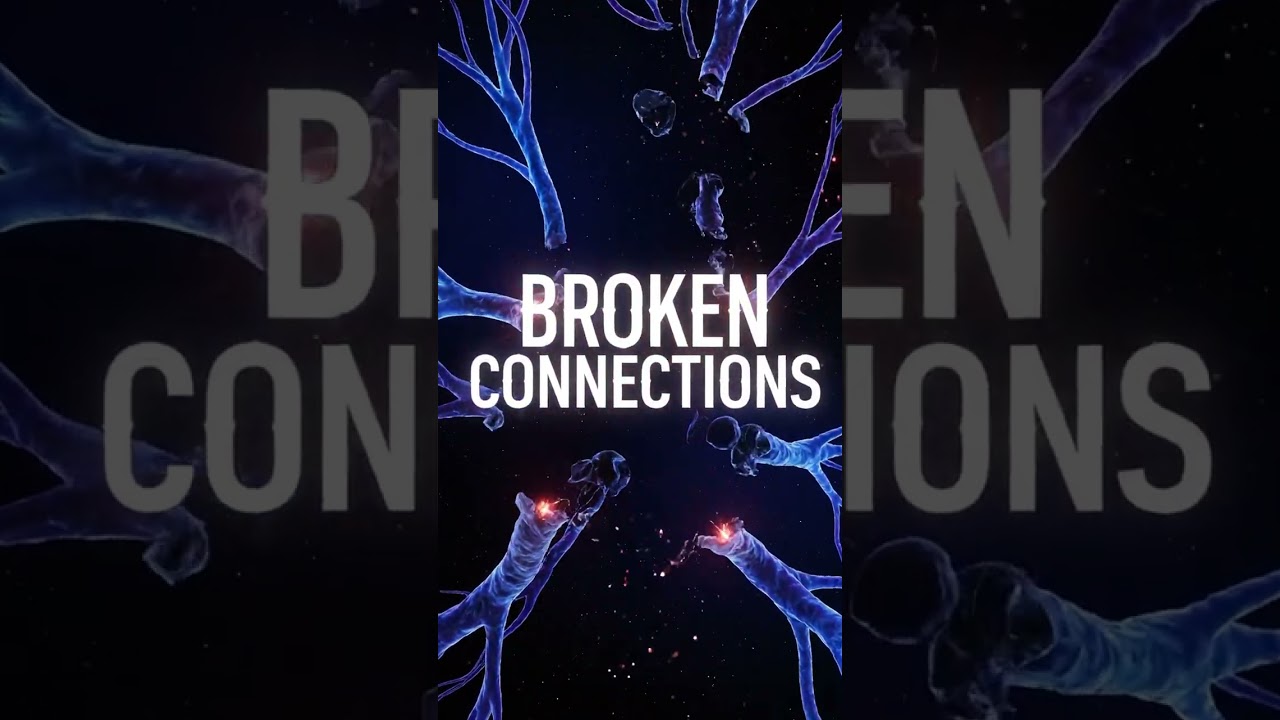 How Brain Trauma Changes the Way Your Mind Works 