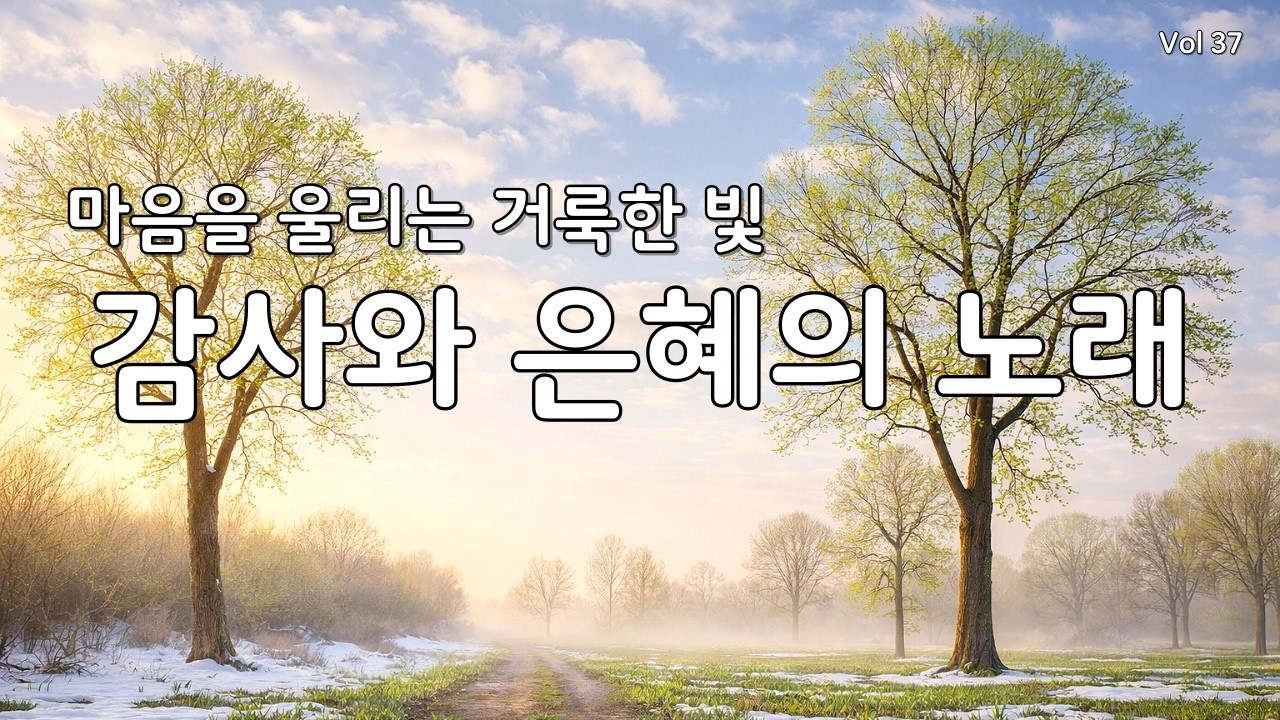 【 듣기만 해도 평안 | 지친 마음 회복】마음을 울리는 최고의 감사 찬양 모음 연속 듣기 37 (CCM/은혜/힐링 워십) #힐링찬양 #기도찬양  #찬양연속듣기 #복음성가 #ccm