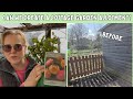 Can we create a cottage garden allotment? #cottagegarden #allotment