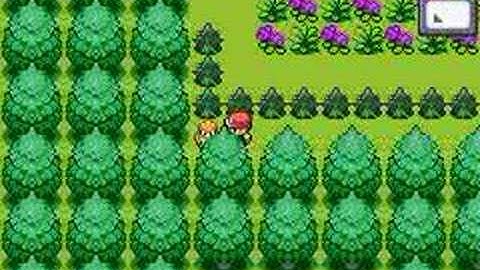 Failed Wild Battle script...