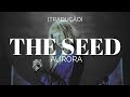 AURORA - The Seed [Legendado/Tradução]