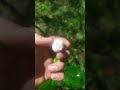 синяя нога 👣